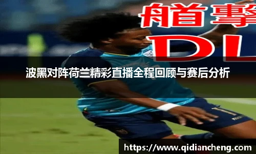 波黑对阵荷兰精彩直播全程回顾与赛后分析